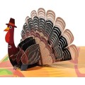 Turkey Pop Up Greeting Card with Blank Note & Envelope
